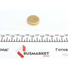 Заглушка блоку циліндрів (d=28mm) Латунь/Brass